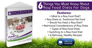 6 Things You Must Know About Raw Food Diets for Dogs