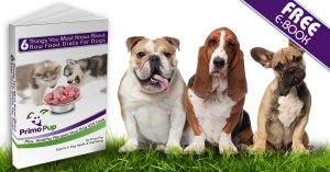 Free eBook: Raw Food Diets for Dogs