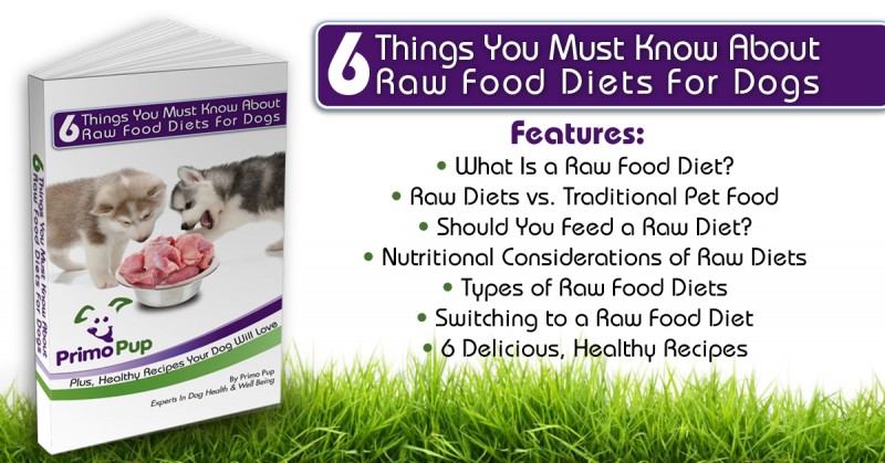 6 Things You Must Know About Raw Food Diets