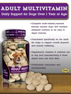Product Information Poster for Adult Dog Multivitamin