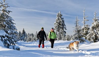 Couple hiking with dog in winter mountains