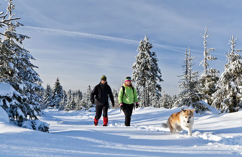 Couple hiking with dog in winter mountains